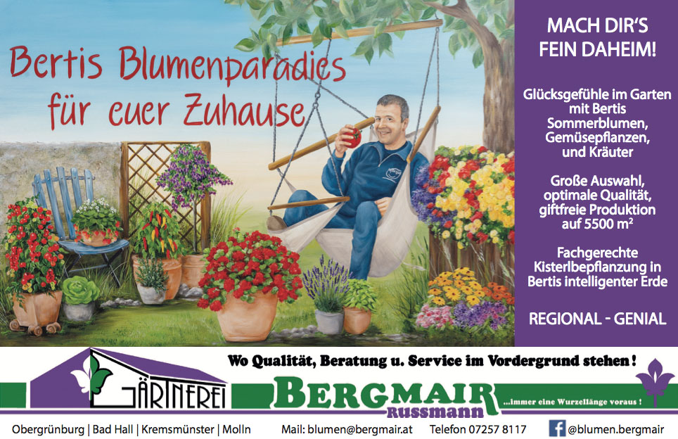 Read more about the article Bertis Blumenparadies für euer Zuhause